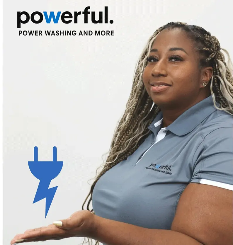 Looking for Professional
            Pressure Washing